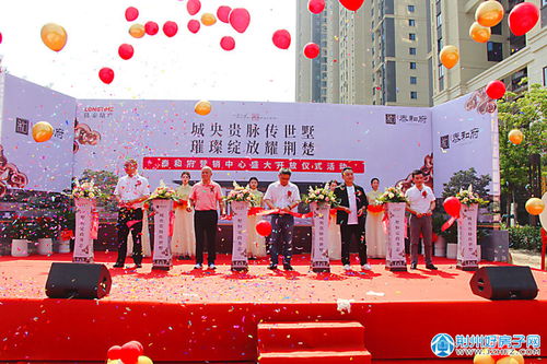 打造城央贵脉传世墅 泰和府营销中心盛大开启