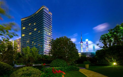 普阳钢铁开发房地产 德龙集团涉足农业