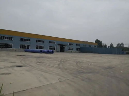 忒惨了 4家轮胎公司同时拍卖