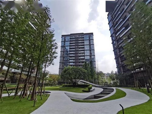 活动 德州房协赴川渝经典房地产开发项目考察活动圆满成功