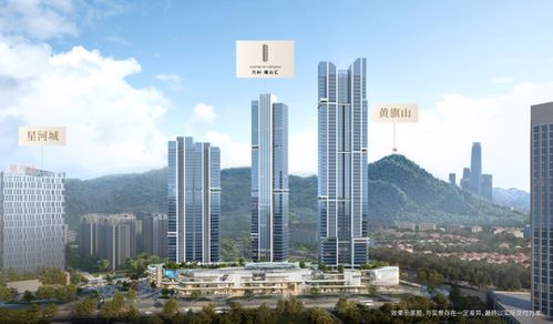 万科产品迭代升级，以稳健发展姿态领跑上半年