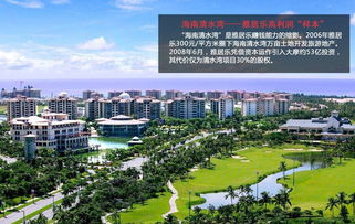 陈卓林 从家具厂老板成大开发商