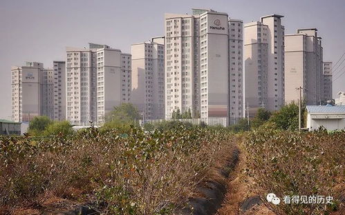 韩国汉城的房地产开发 如同地里庄稼一样疯长的房子