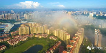 钦州发文加强房地产市场调控，促进房地产开发行业健康发展